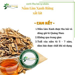 Nấm Lim Xanh rừng xắt lát 7