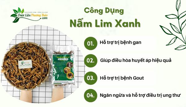 Nam-Lim-Xanh-cong-dung-la-gi