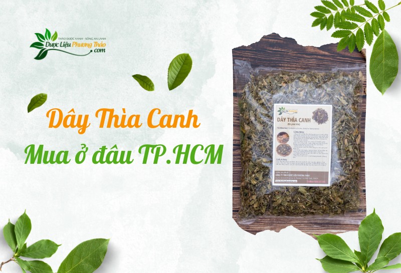 Dây Thìa canh mua ở đâu TpHCM