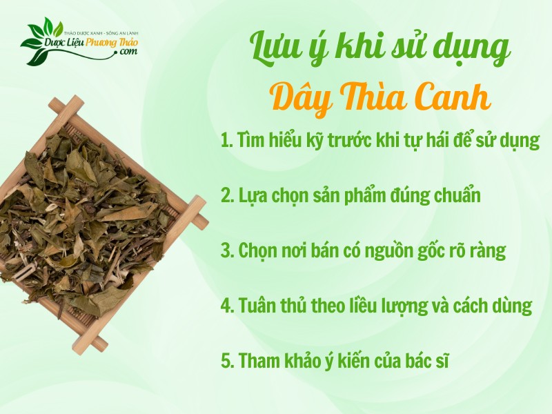 Lưu ý khi sử dụng Dây Thìa Canh