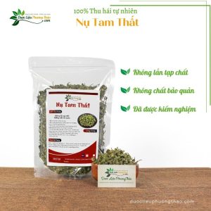 Nụ Tam Thất dlpt 4