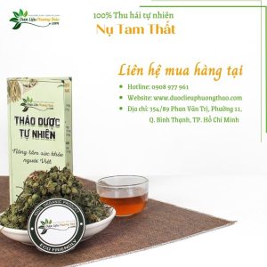 Nụ Tam Thất dlpt 7