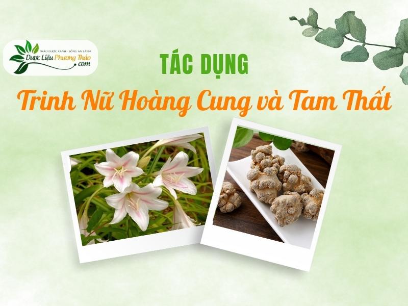 Tác dụng Trinh Nữ Hoàng Cung và Tam Thất