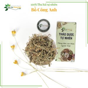 Bồ Công Anh dlpt 3