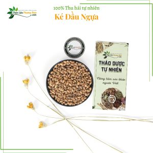 Ké Đầu Ngựa dlpt 3