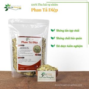Phan Tả Diệp dlpt 4