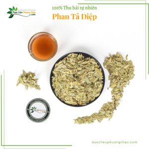 Phan Tả Diệp dlpt 6