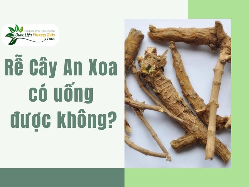 Rễ Cây An Xoa có uống được không?