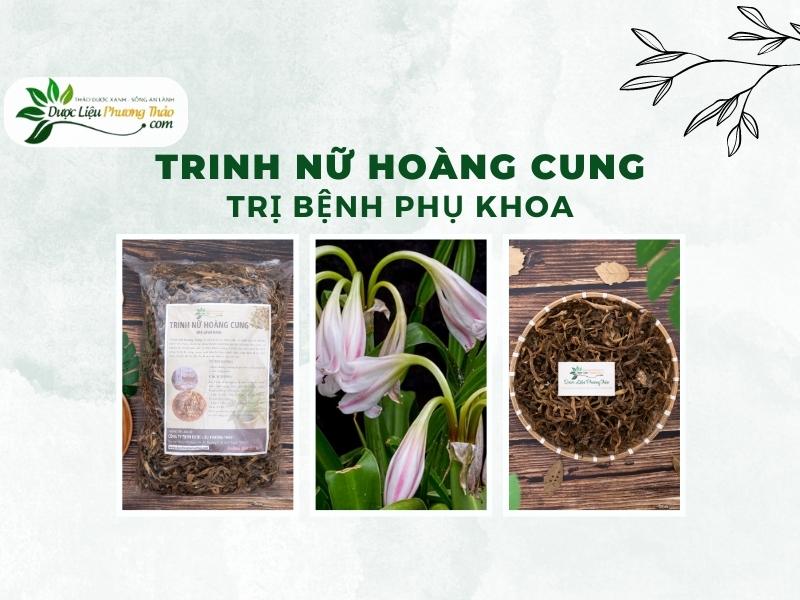 Trinh Nữ Hoàng Cung trị bệnh phụ khoa