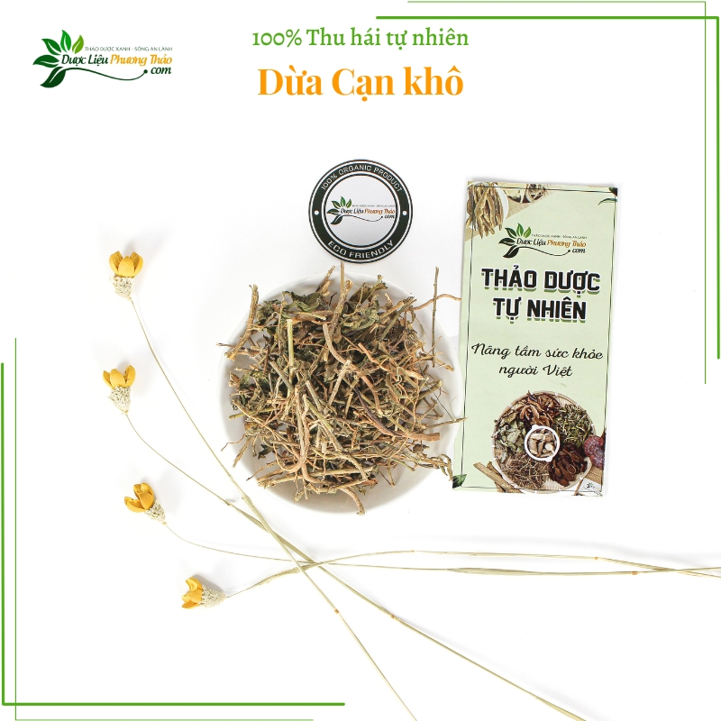 Dừa Cạn khô - Ngỡ ngàng với công dụng chữa ung thư hiệu quả - Ảnh 4