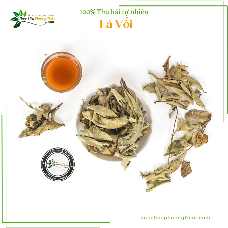 Lá Vối - Nước giải khát nhưng lại chữa được nhiều loại bệnh - Ảnh 7