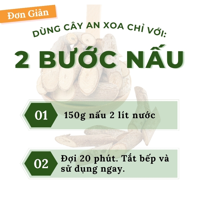 Cây an xoa là gì? Tác dụng, cách dùng và lưu ý an toàn cách dùng cây an xoa