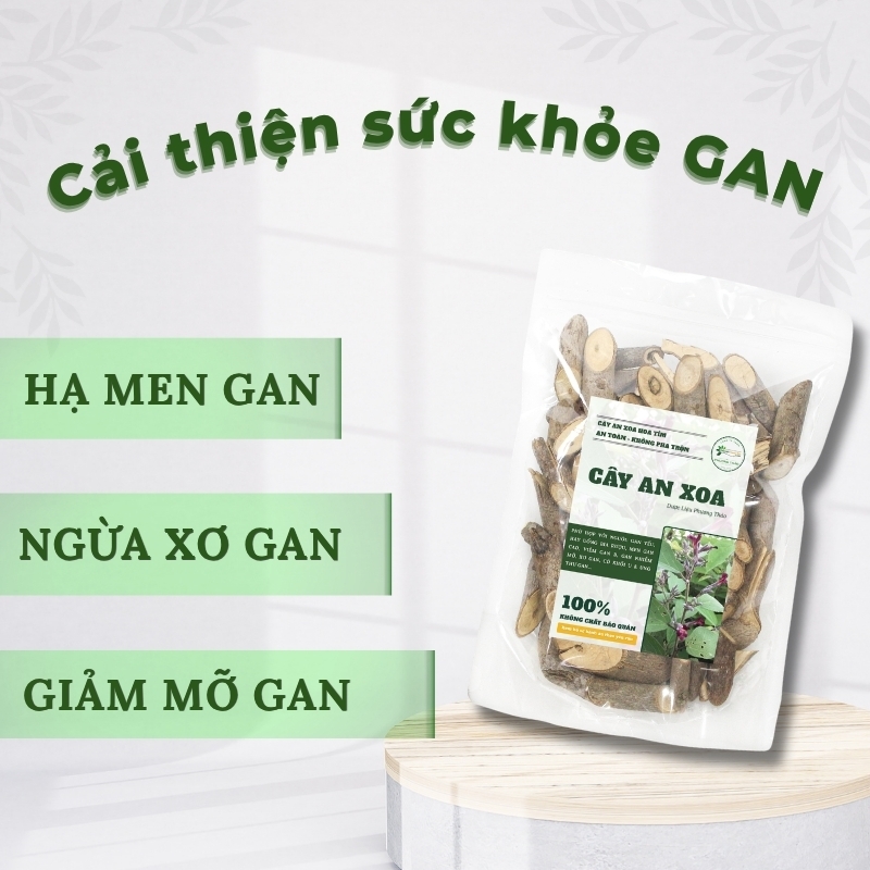 Cây an xoa là gì? Tác dụng, cách dùng và lưu ý an toàn công dụng cây an xoa
