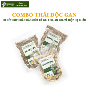 Diệp hạ châu là gì? Tác dụng, cách dùng và lưu ý an toàn combo diệp hạ châu