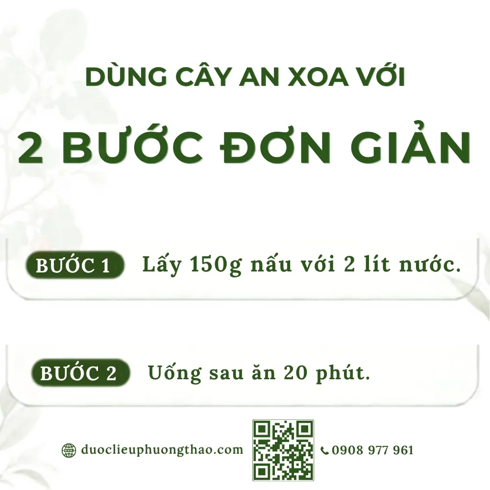 Cây an xoa (tổ kén cái, dó lông, thâu kén lông)