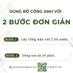 Bồ công anh (diếp dại, diếp trời)