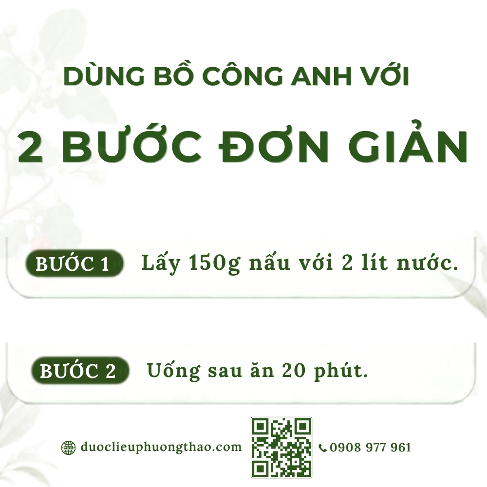Bồ công anh (diếp dại, diếp trời)