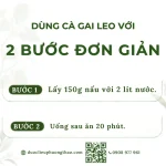 Cà gai leo (Cà gai dây, cà vạnh, cà quýnh)
