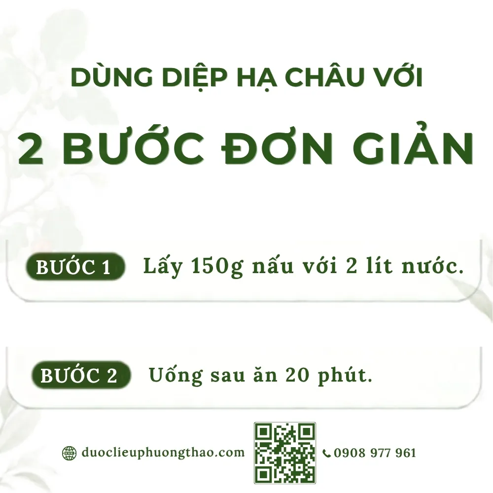 Diệp hạ châu (cây chó đẻ)