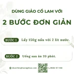 Giảo cổ lam (cỏ trường sinh, ngũ diệp sâm, sâm nam)