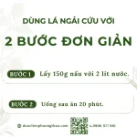 Lá ngải cứu (cây thuốc cứu, ngải diệp, thuốc cao)