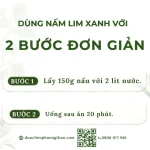 Nấm lim xanh nguyên cây (Nấm trường thọ, nấm vạn tiên nhung)