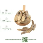 Cây an xoa (tổ kén cái, dó lông, thâu kén lông)