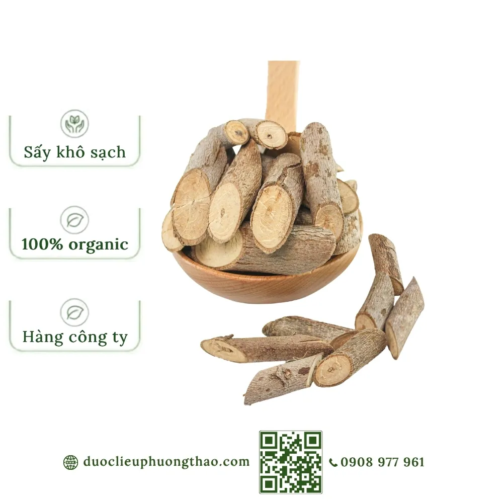 Cây an xoa (tổ kén cái, dó lông, thâu kén lông)
