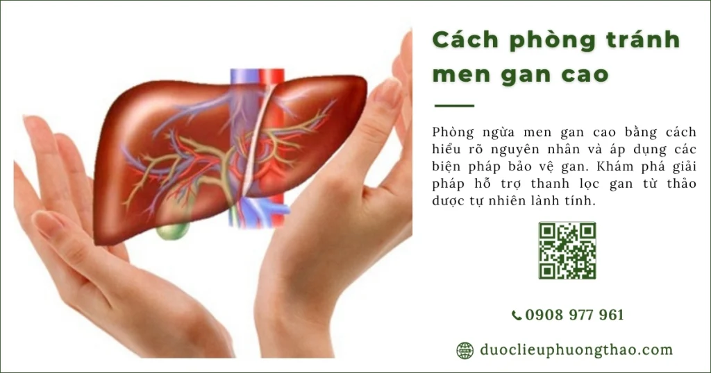 Những cách phòng tránh men gan cao và bảo vệ chức năng gan nào hiệu quả?