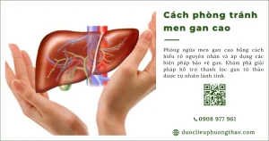 Những cách phòng tránh men gan cao và bảo vệ chức năng gan nào hiệu quả?