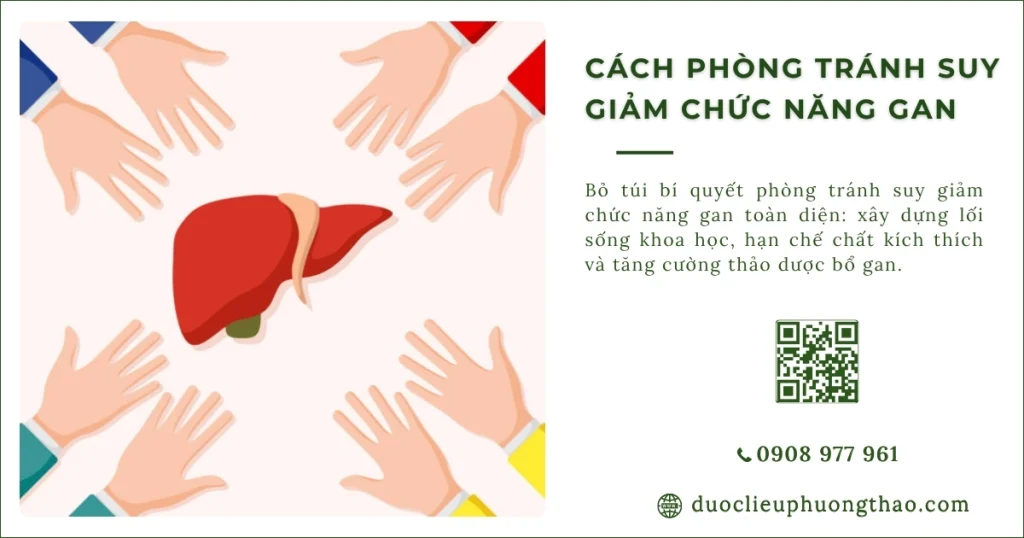 Làm thế nào để phòng tránh suy giảm chức năng gan từ sớm?