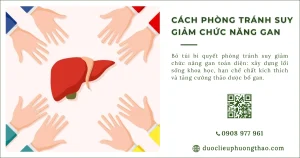 Làm thế nào để phòng tránh suy giảm chức năng gan từ sớm?