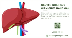 Nguyên nhân suy giảm chức năng gan thường gặp là gì?