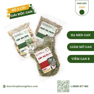 Combo gan nhiễm mỡ – men gan cao 20 ngày uống