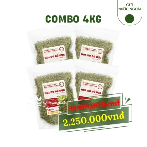 Combo hoa đu đủ đực 4kg gửi nước ngoài