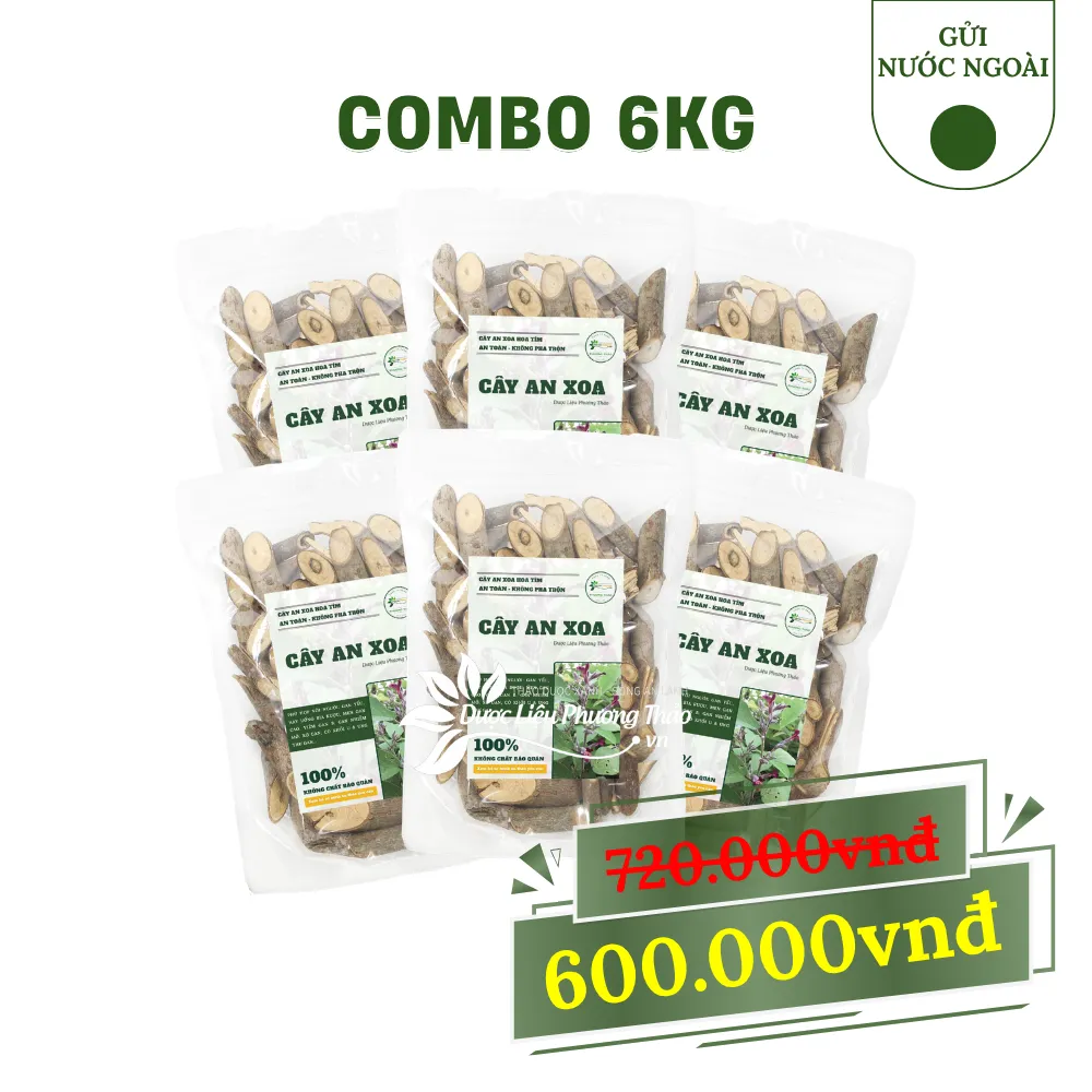 combo 6kg cây an xoa gửi nước ngoài