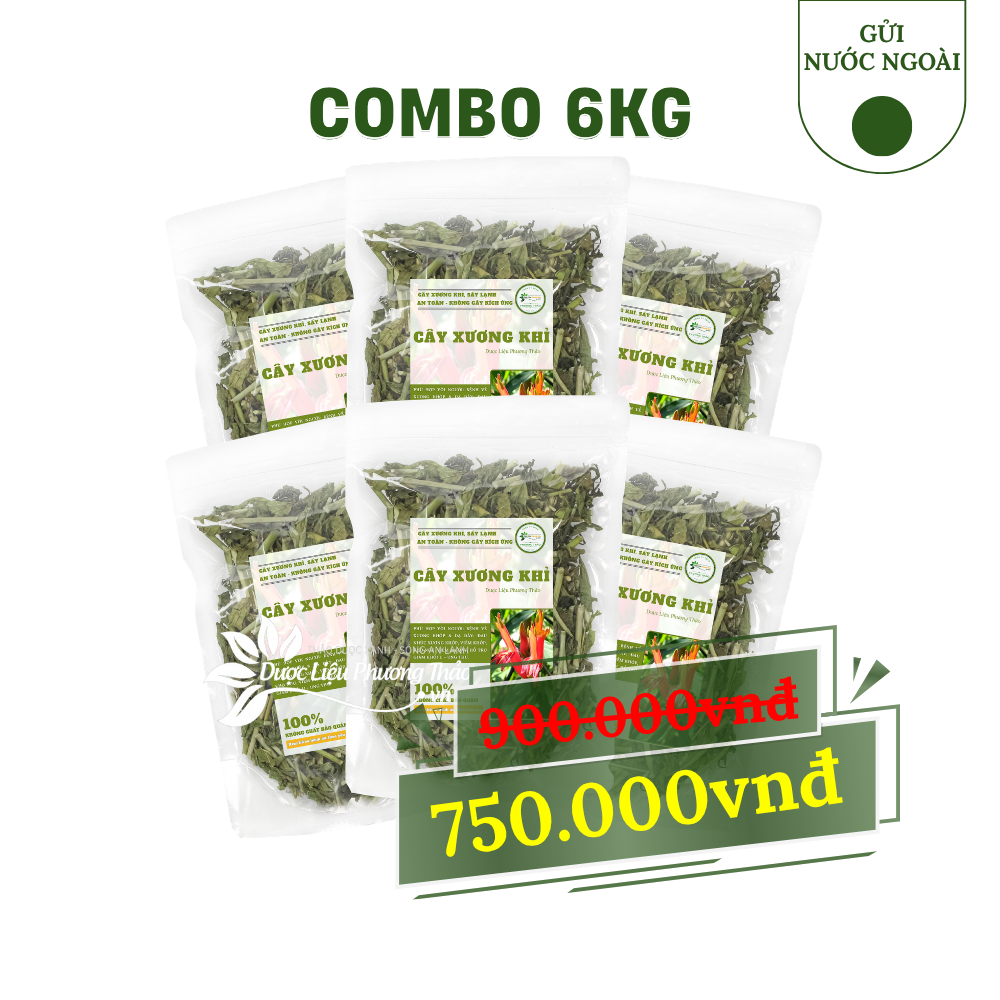 combo cây xương khỉ