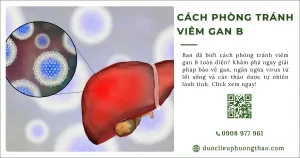 Cách phòng tránh viêm gan B