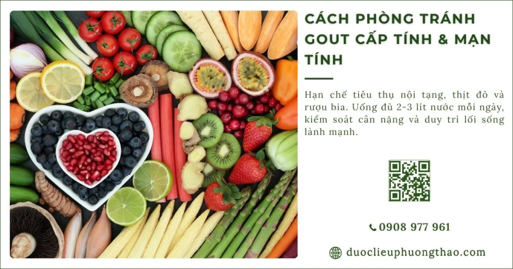 Cách phòng tránh gout cấp tính, giảm nguy cơ khởi phát và hạn chế tái phát bệnh
