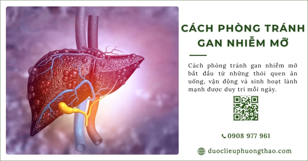 Cách phòng tránh gan nhiễm mỡ nên thực hiện ra sao?