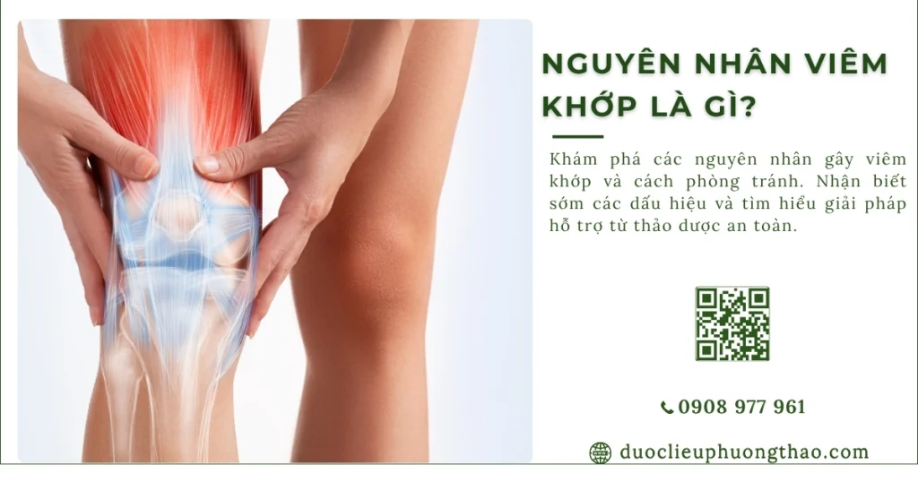Nguyên nhân viêm khớp là gì? Các yếu tố nguy cơ cần biết?