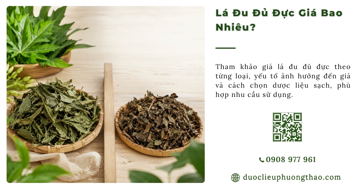 lá đu đủ đực giá bao nhiêu