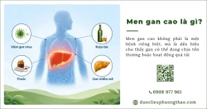Men gan cao là gì? Nguyên nhân, triệu chứng và Cách phòng tránh như thế nào?