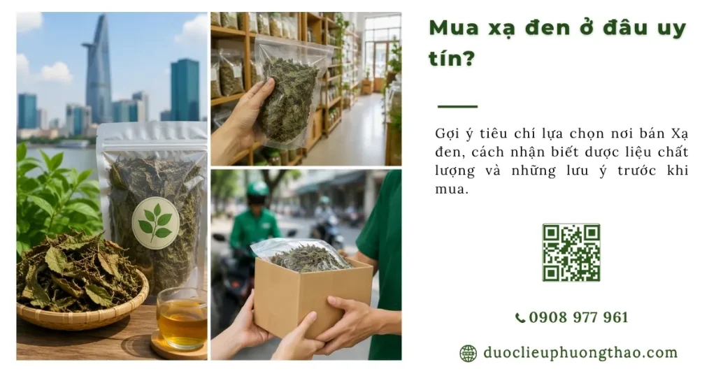 Mua cây Xạ đen ở TP.HCM nên chọn địa chỉ như thế nào?