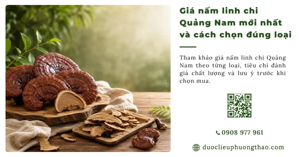 Giá nấm linh chi Quảng Nam bao nhiêu? Những yếu tố ảnh hưởng đến giá bán