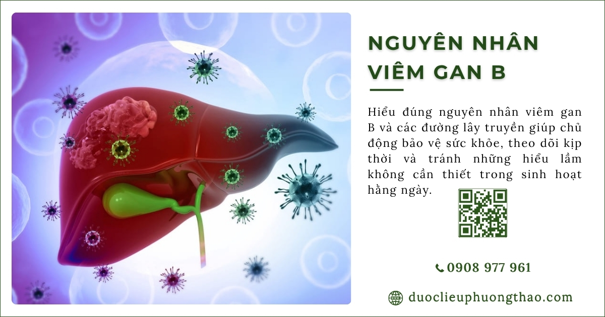 nguyên nhân viêm gan b