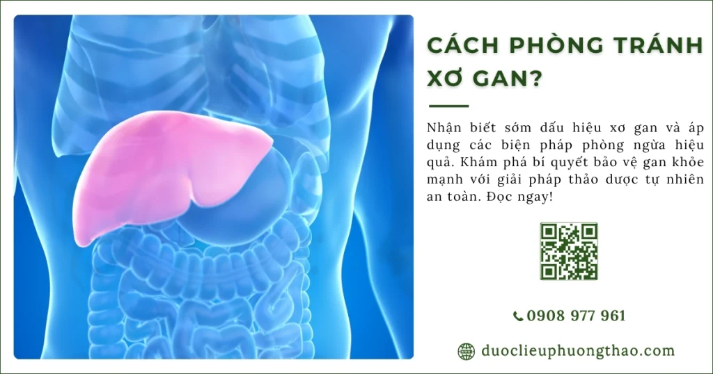 Có những cách phòng tránh xơ gan nào?