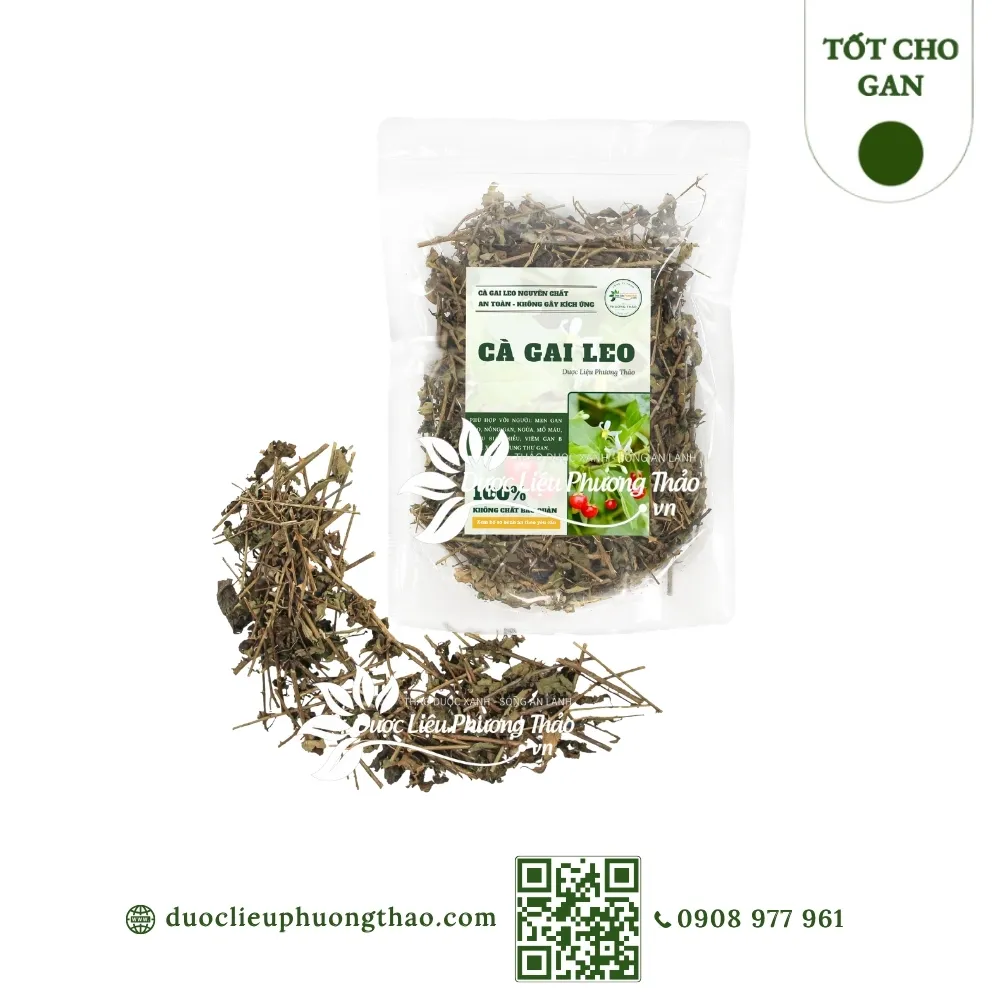 Cà gai leo (Cà gai dây, cà vạnh, cà quýnh)