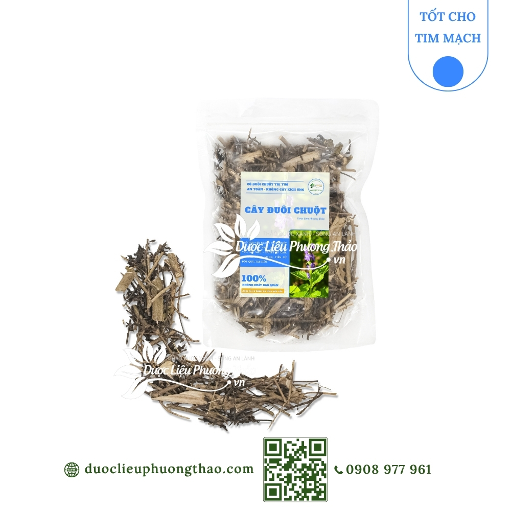 sản phẩm cây đuôi chuột