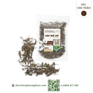 Cây mã đề (xa tiền thảo, rau mã đề, cây bông mã đề)